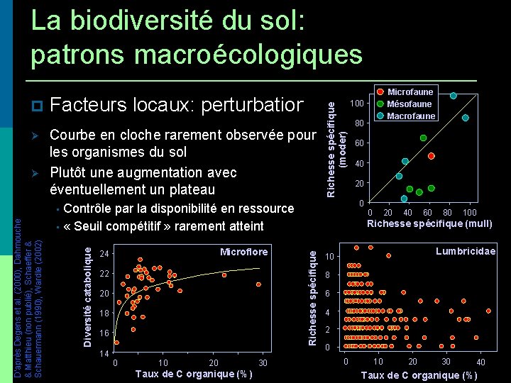 La biodiversité du sol: patrons macroécologiques 100 Facteurs locaux: perturbations / productivité Courbe en