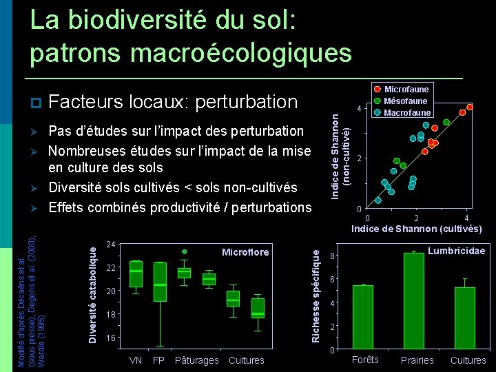 La biodiversité du sol: patrons macroécologiques Microfaune Mésofaune Macrofaune Facteurs locaux: perturbations / productivité