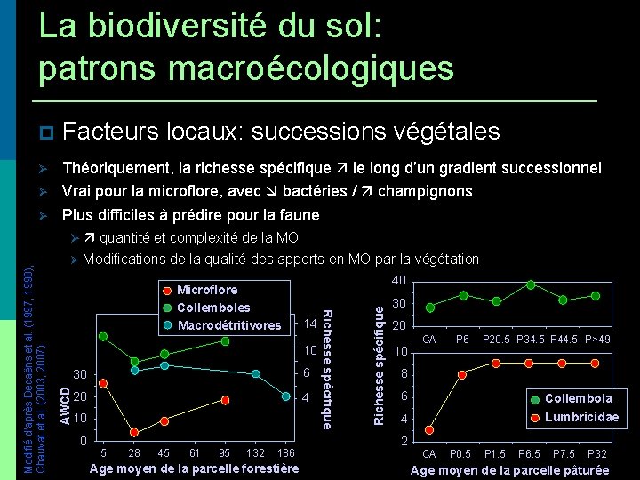 La biodiversité du sol: patrons macroécologiques Facteurs locaux: successions végétales Théoriquement, la richesse spécifique