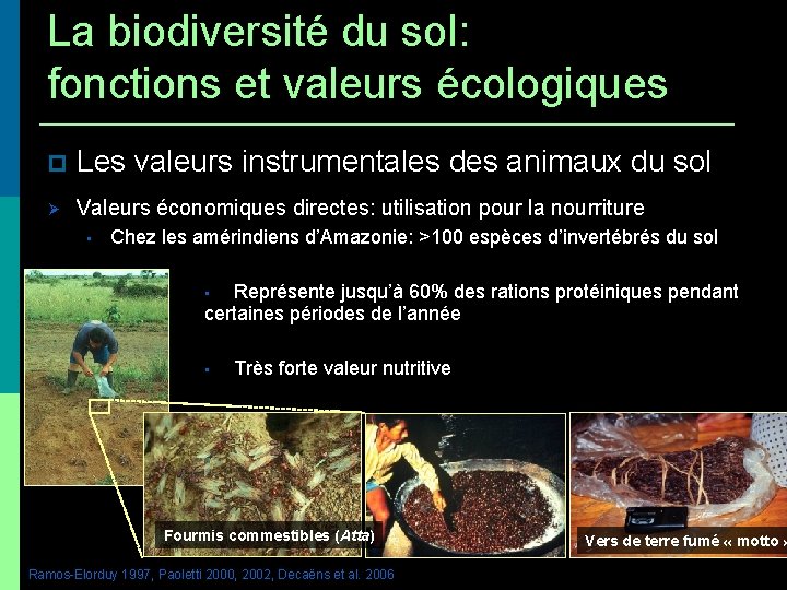 La biodiversité du sol: fonctions et valeurs écologiques Les valeurs instrumentales des animaux du