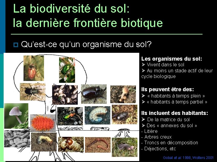 La biodiversité du sol: la dernière frontière biotique Qu’est-ce qu’un organisme du sol? Les