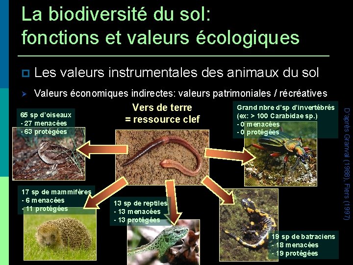 La biodiversité du sol: fonctions et valeurs écologiques Les valeurs instrumentales des animaux du