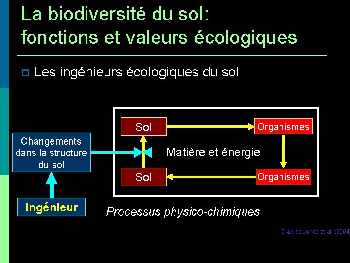 La biodiversité du sol: fonctions et valeurs écologiques Les ingénieurs écologiques du sol Sol