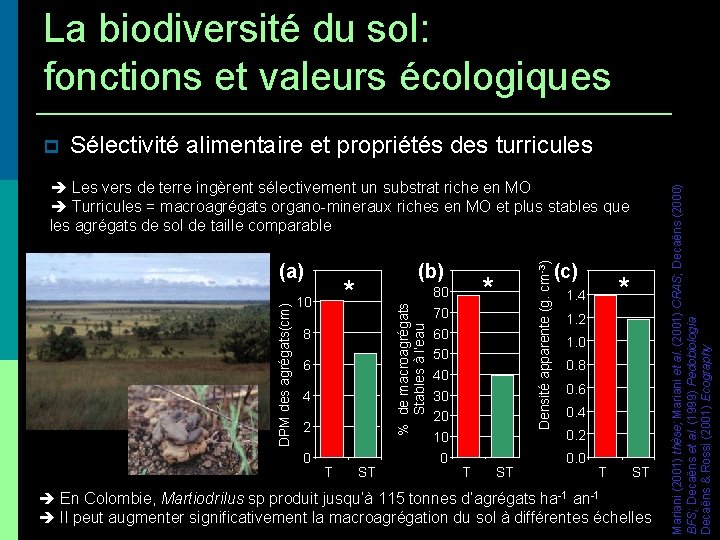 La biodiversité du sol: fonctions et valeurs écologiques Sélectivité alimentaire et propriétés des turricules