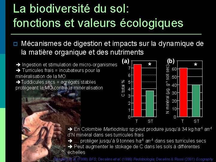 La biodiversité du sol: fonctions et valeurs écologiques Mécanismes de digestion et impacts sur