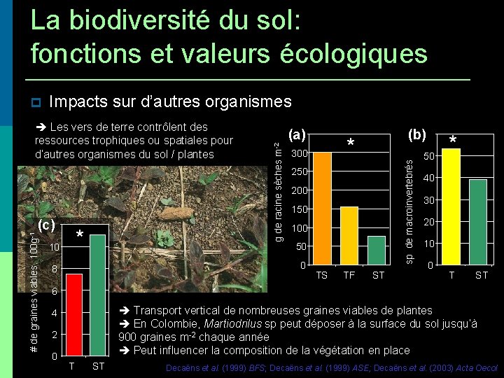 La biodiversité du sol: fonctions et valeurs écologiques Impacts sur d’autres organismes # de