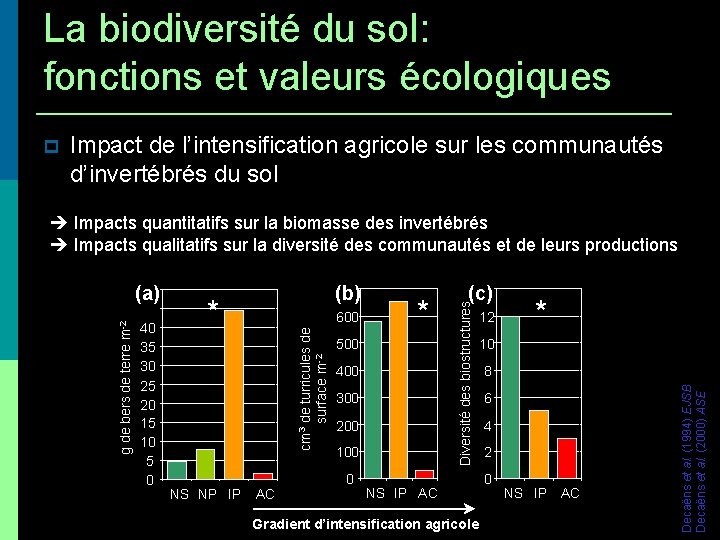 La biodiversité du sol: fonctions et valeurs écologiques Impact de l’intensification agricole sur les