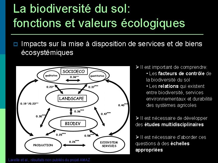 La biodiversité du sol: fonctions et valeurs écologiques Impacts sur la mise à disposition