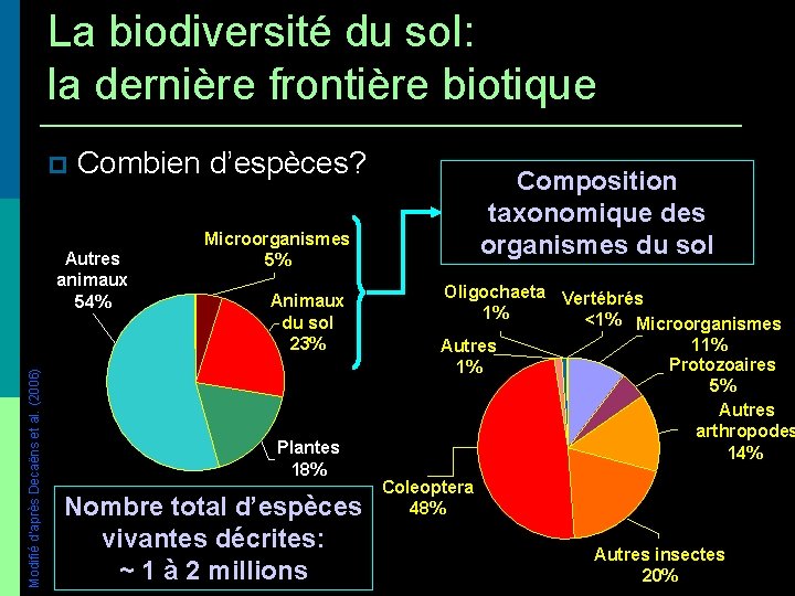 La biodiversité du sol: la dernière frontière biotique Combien d’espèces? Modifié d’après Decaëns et