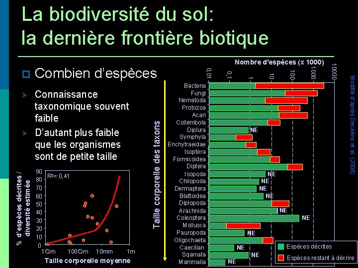 La biodiversité du sol: la dernière frontière biotique Taille corporelle des taxons % d’espèces