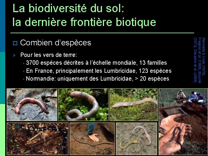 La biodiversité du sol: la dernière frontière biotique Combiend’espèces Pour les vers de terre: