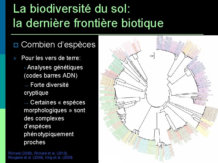 La biodiversité du sol: la dernière frontière biotique • Combiend’espèces Pour les vers de