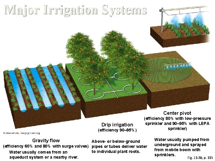 Major Irrigation Systems Center pivot Drip irrigation (efficiency 90– 95%) Gravity flow (efficiency 80%