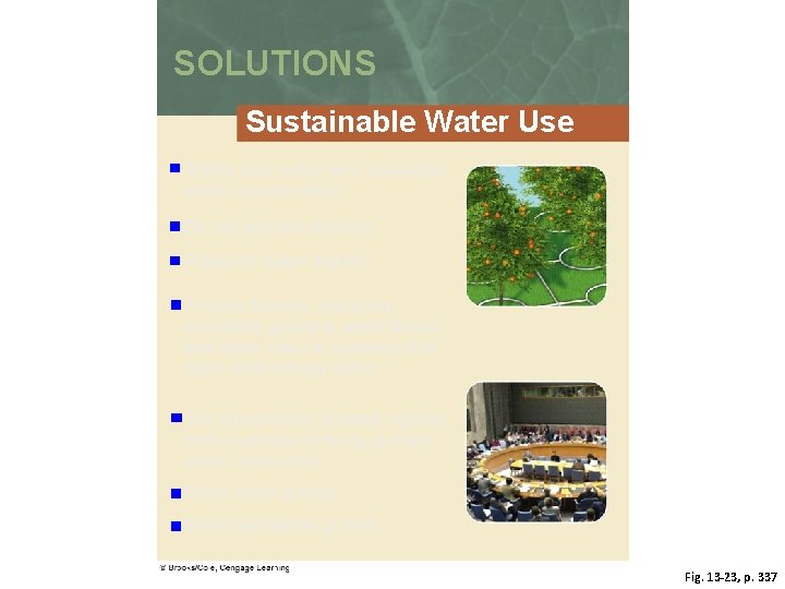 SOLUTIONS Sustainable Water Use Waste less water and subsidize water conservation Do not deplete