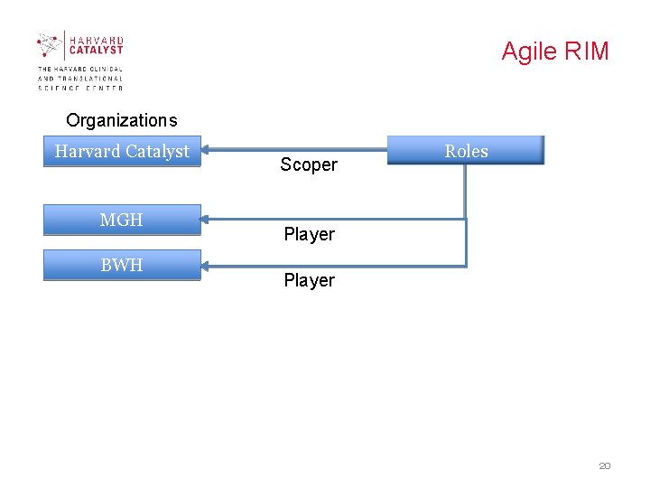 Agile RIM Organizations Harvard Catalyst MGH BWH Scoper Roles Player 20 Agile RIM Organizations Harvard Catalyst MGH BWH Scoper Roles Player 20