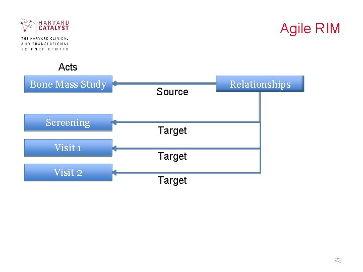 Agile RIM Acts Bone Mass Study Screening Visit 1 Visit 2 Source Relationships Target