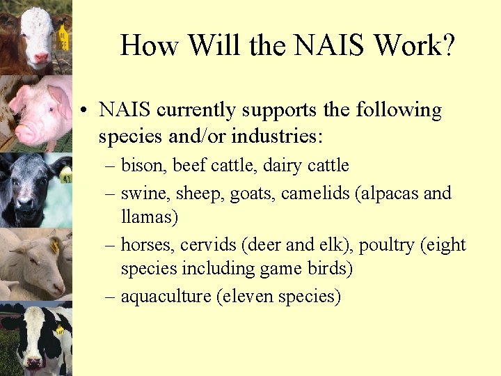 How Will the NAIS Work? • NAIS currently supports the following species and/or industries: