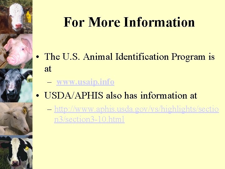 For More Information • The U. S. Animal Identification Program is at – www.