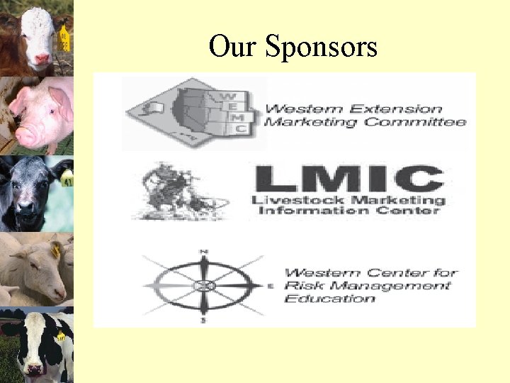Our Sponsors 