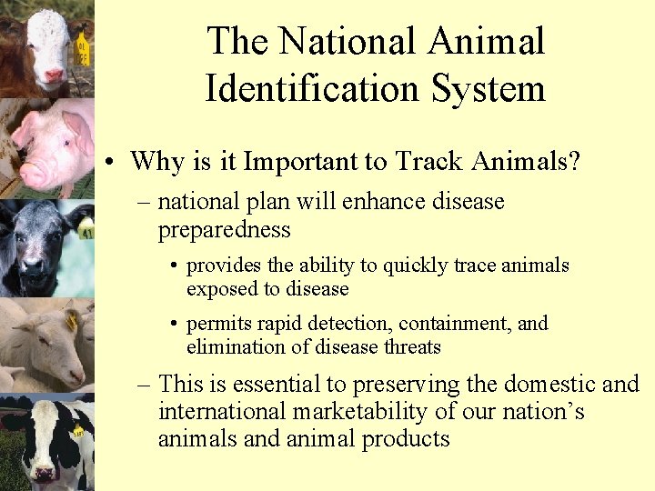 The National Animal Identification System • Why is it Important to Track Animals? –