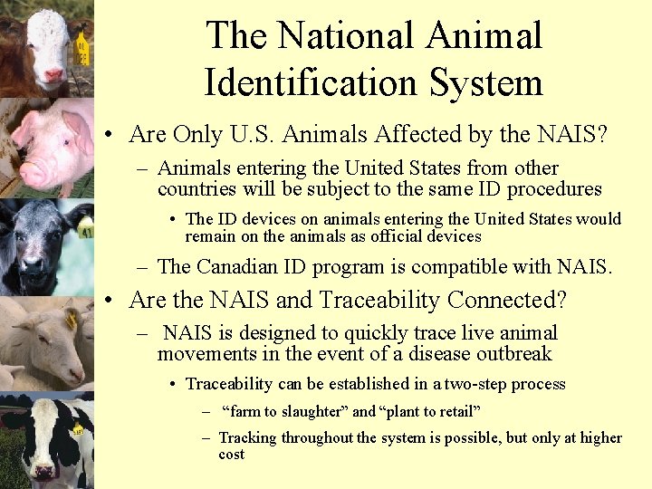The National Animal Identification System • Are Only U. S. Animals Affected by the