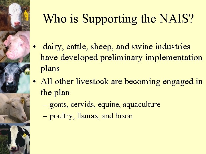 Who is Supporting the NAIS? • dairy, cattle, sheep, and swine industries have developed
