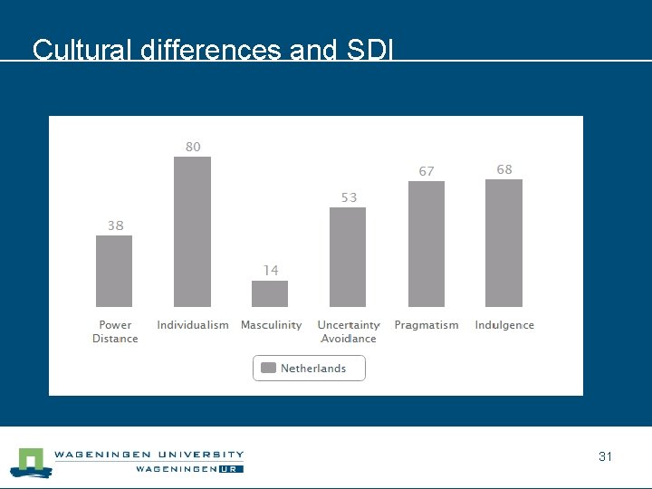 Cultural differences and SDI 31 