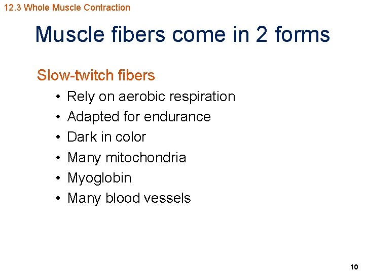 12. 3 Whole Muscle Contraction Muscle fibers come in 2 forms Slow-twitch fibers •