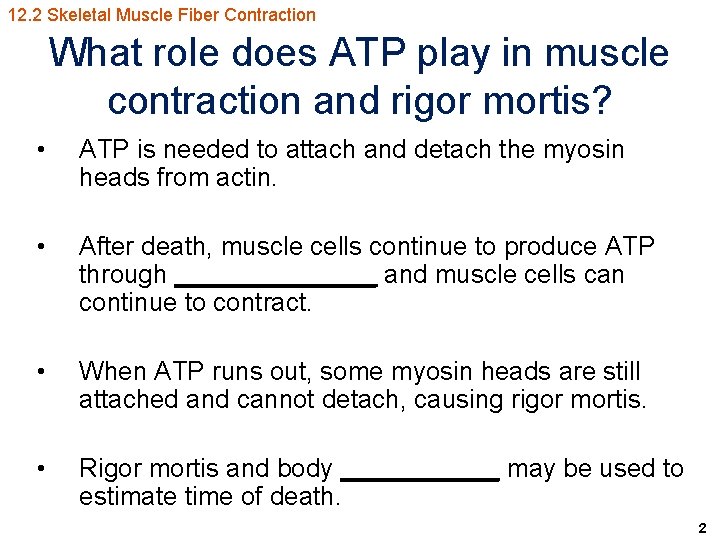 12. 2 Skeletal Muscle Fiber Contraction What role does ATP play in muscle contraction