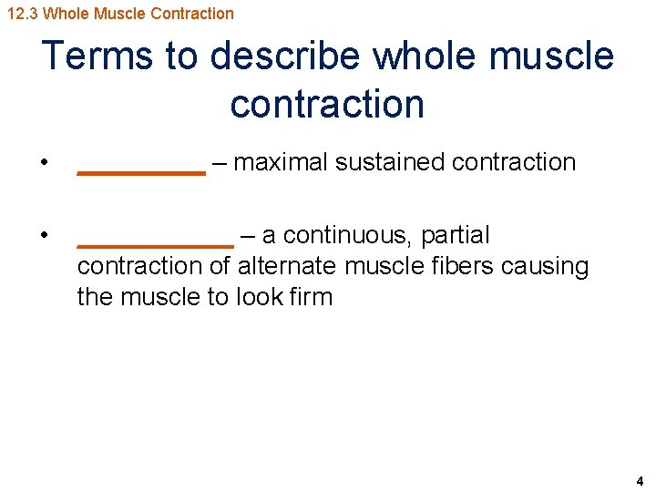 12. 3 Whole Muscle Contraction Terms to describe whole muscle contraction • _____ –