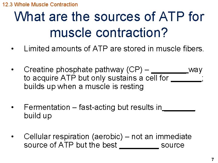 12. 3 Whole Muscle Contraction What are the sources of ATP for muscle contraction?
