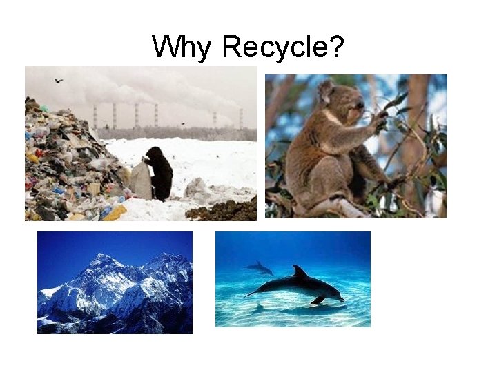 Why Recycle? 