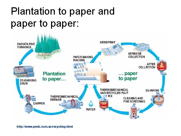 Plantation to paper and paper to paper: http: //www. pneb. com. au/recycling. html 