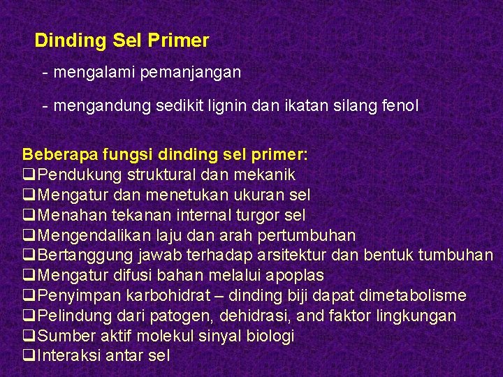 Dinding Sel Primer - mengalami pemanjangan - mengandung sedikit lignin dan ikatan silang fenol