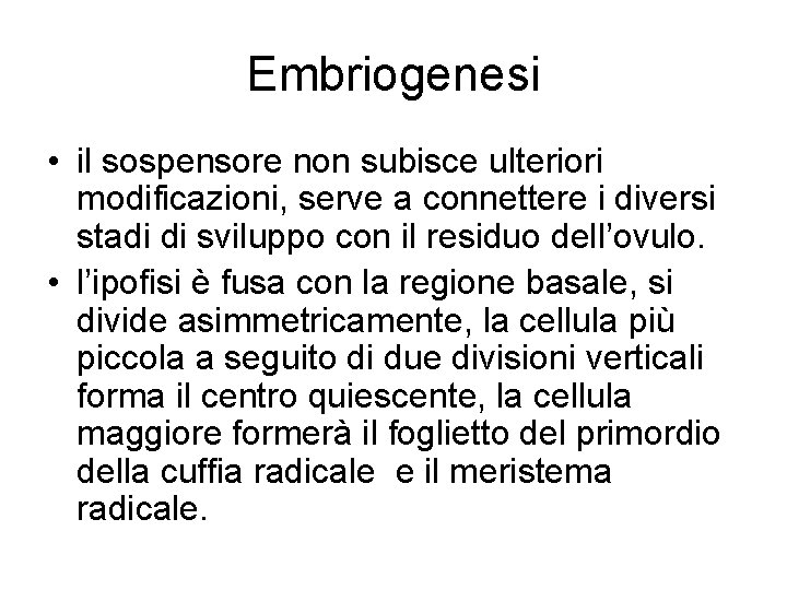 Embriogenesi • il sospensore non subisce ulteriori modificazioni, serve a connettere i diversi stadi