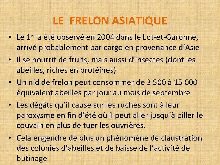 LE FRELON ASIATIQUE • Le 1 er a été observé en 2004 dans le