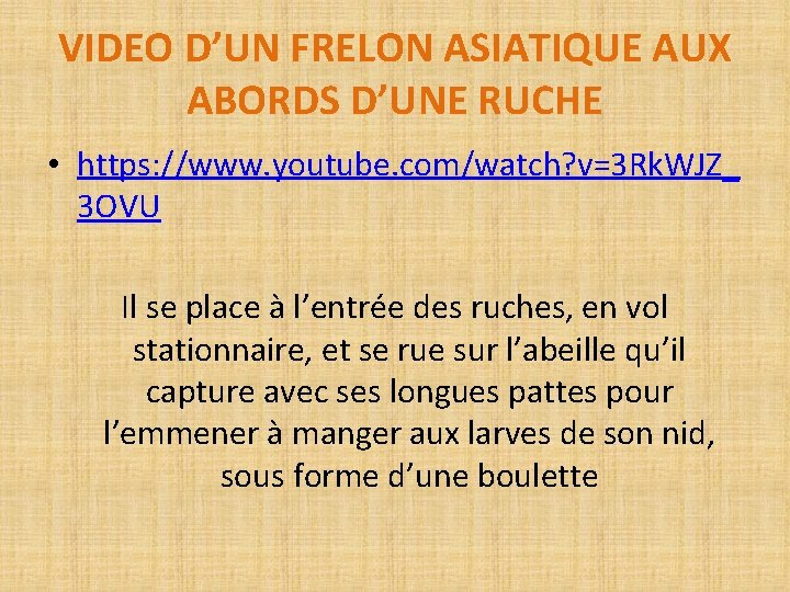 VIDEO D’UN FRELON ASIATIQUE AUX ABORDS D’UNE RUCHE • https: //www. youtube. com/watch? v=3