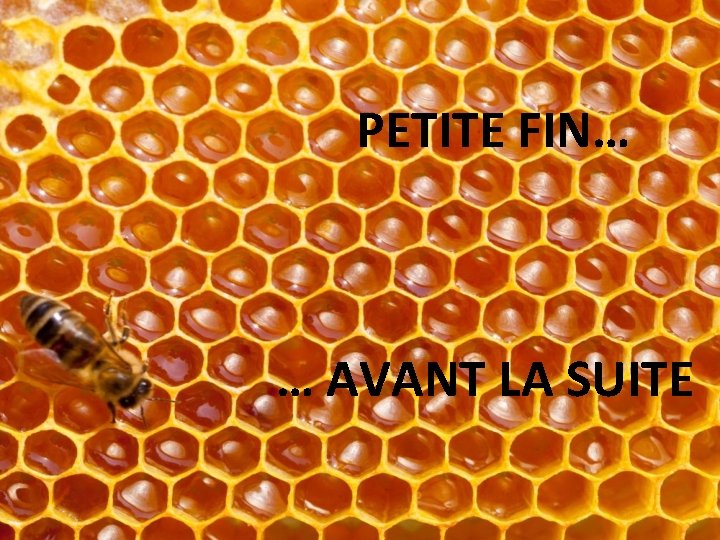 PETITE FIN… … AVANT LA SUITE 