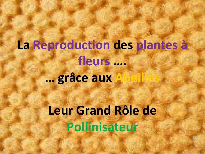 La Reproduction des plantes à fleurs …. … grâce aux Abeilles Leur Grand Rôle