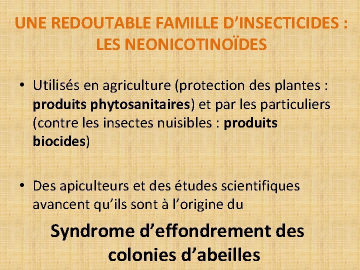 UNE REDOUTABLE FAMILLE D’INSECTICIDES : LES NEONICOTINOÏDES • Utilisés en agriculture (protection des plantes