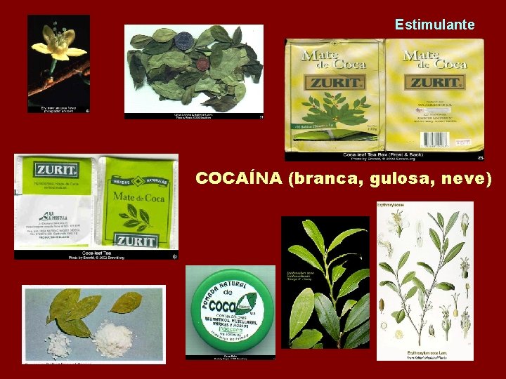 Estimulante COCAÍNA (branca, gulosa, neve) 