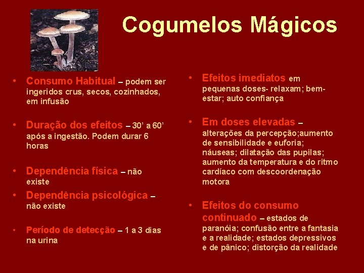Cogumelos Mágicos • Consumo Habitual – podem ser ingeridos crus, secos, cozinhados, em infusão