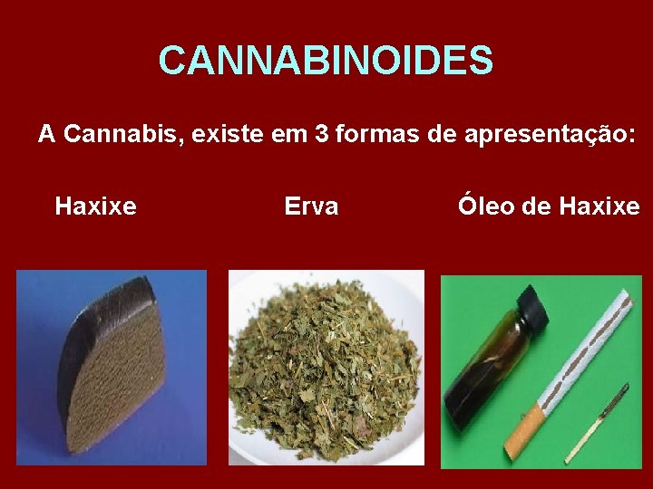 CANNABINOIDES A Cannabis, existe em 3 formas de apresentação: Haxixe Erva Óleo de Haxixe