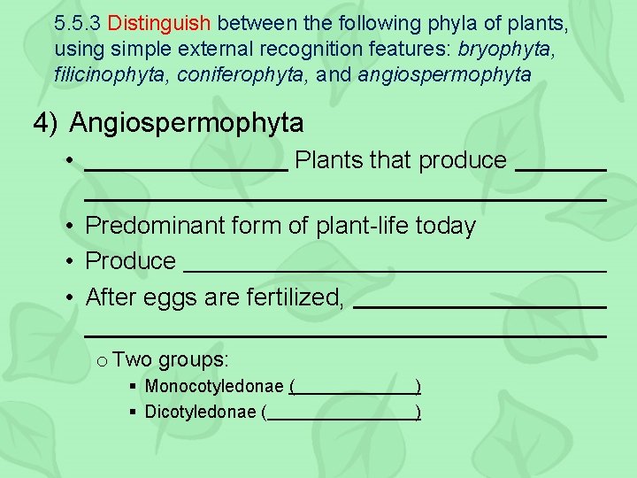 5. 5. 3 Distinguish between the following phyla of plants, using simple external recognition