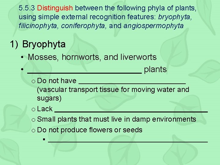 5. 5. 3 Distinguish between the following phyla of plants, using simple external recognition