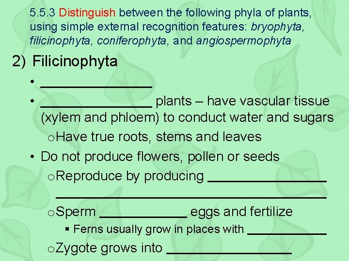 5. 5. 3 Distinguish between the following phyla of plants, using simple external recognition