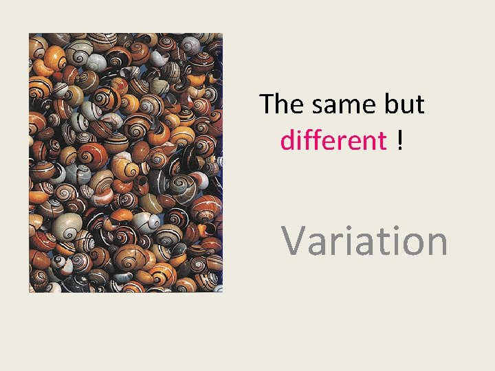 The same but different ! Variation 
