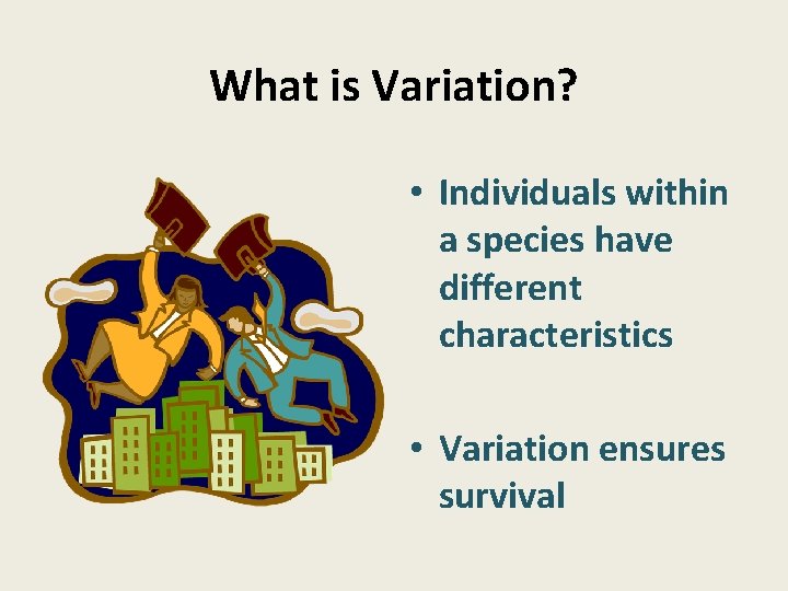 What is Variation? • Individuals within a species have different characteristics • Variation ensures