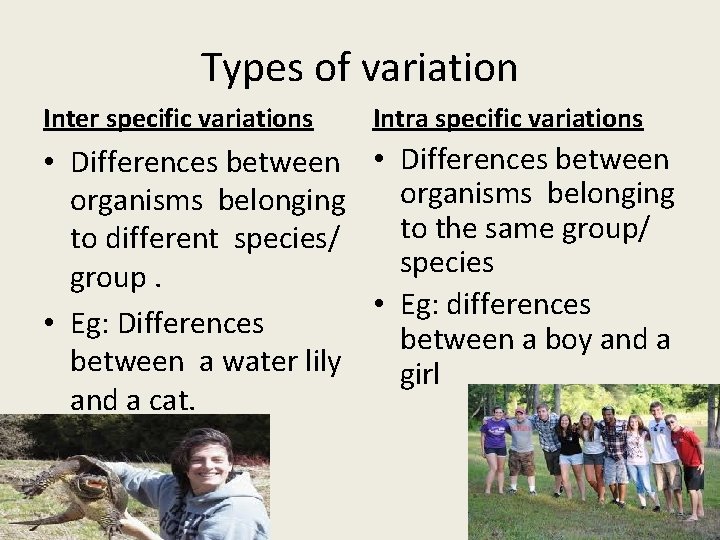 Types of variation Inter specific variations Intra specific variations • Differences between organisms belonging