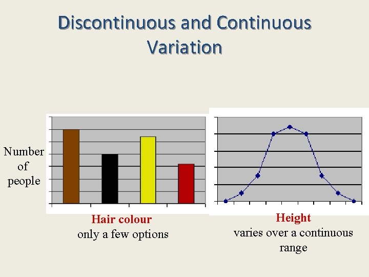Discontinuous and Continuous Variation Number of people Hair colour only a few options Height